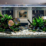 1200 300020Micron20Calcite20Application20Aquarium