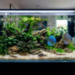 1200 300020Micron20Calcite20Application20Aquarium202