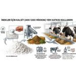 400 120020Micron20Calcite20Cows
