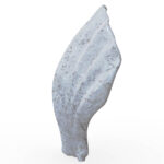 Miamivit La Perla Mermer Eşyalar Süs Eşyası Art Dekor Deniz Kabuğu Süs, Akvaryum,Masa 10cmx10cm - Image 3