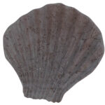 Miamivit La Perla Mermer Eşyalar Süs Eşyası Art Dekor Deniz Kabuğu Süs, Akvaryum,Masa 10cmx10cm - Image 4