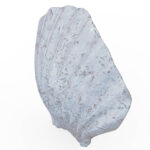 Miamivit La Perla Mermer Eşyalar Süs Eşyası Art Dekor Deniz Kabuğu Süs, Akvaryum,Masa 10cmx10cm - Image 7