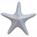Miamivit La Perla Mermer Eşyalar Özel Süs Art Dekor Deniz Yıldızı 2 Masa, Kitaplık, Vitrin 11cmx11cm - Image 2