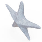 Miamivit La Perla Mermer Eşyalar Özel Süs Art Dekor Deniz Yıldızı 2 Masa, Kitaplık, Vitrin 11cmx11cm - Image 7