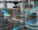 BIM Drone Inspection Plan Timeline