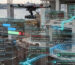 BIM Drone Inspection Plan Timeline